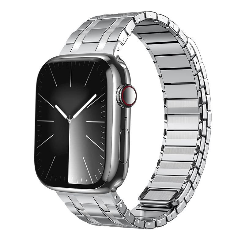 Correa magnética de acero inoxidable esmerilado AP para Apple Watch